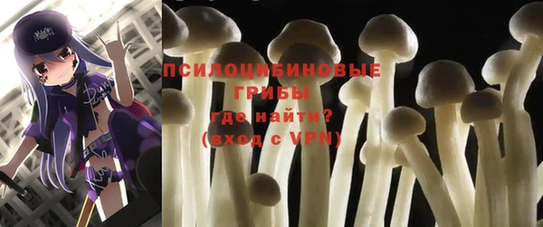 эйфоретик Богданович
