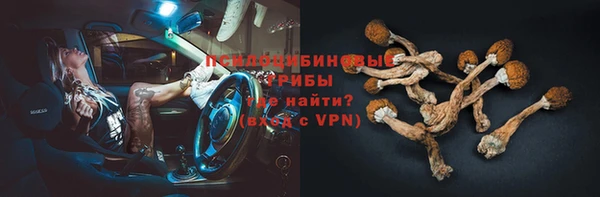 гидропоника Богородицк
