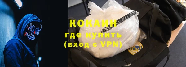 эйфоретик Богданович