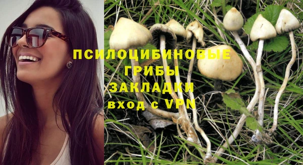 эйфоретик Богданович