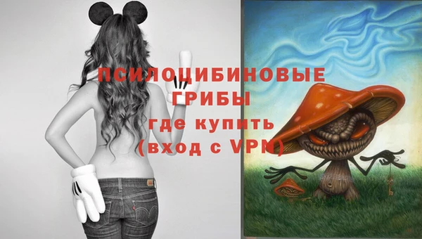 гидропоника Богородицк