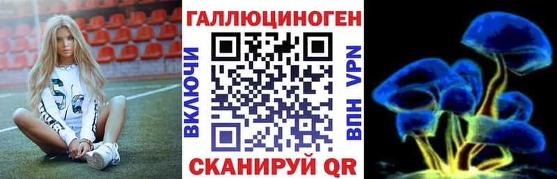 Галлюциногенные грибы GOLDEN TEACHER  магазин    Красавино 